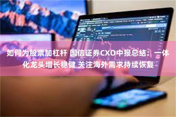 如何为股票加杠杆 国信证券CXO中报总结：一体化龙头增长稳健 关注海外需求持续恢复