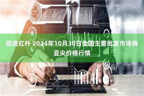 现货杠杆 2024年10月30日全国主要批发市场豌豆尖价格行情