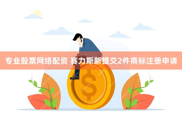 专业股票网络配资 赛力斯新提交2件商标注册申请