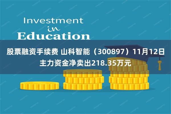 股票融资手续费 山科智能（300897）11月12日主力资金净卖出218.35万元