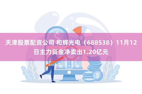 天津股票配资公司 和辉光电（688538）11月12日主力资金净卖出1.20亿元