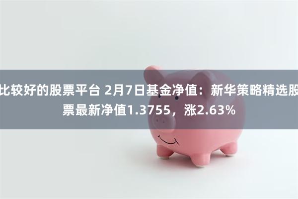 比较好的股票平台 2月7日基金净值：新华策略精选股票最新净值1.3755，涨2.63%