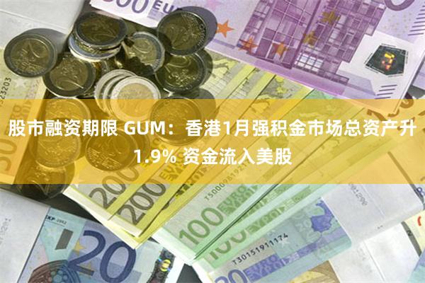 股市融资期限 GUM：香港1月强积金市场总资产升1.9% 资金流入美股