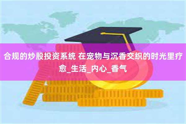 合规的炒股投资系统 在宠物与沉香交织的时光里疗愈_生活_内心_香气